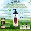Giảm 30-50% 500ML Dầu Gội Rồng Đen chiết xuất thảo dược Giúp sạch Gàu sạch nấm da đầu Ngăn dụng tóc