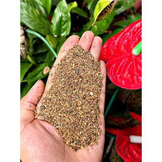 Cát Suối Biotope Tự Nhiên Tone Nâu Trầm (Hạt nhỡ) - Phù Hợp Chơi Biotope - Suối (1kg, 2kg, 5kg)