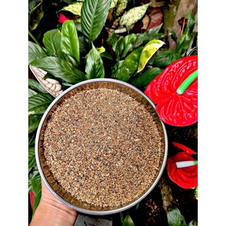 Cát Suối Biotope Tự Nhiên Tone Nâu Trầm (Hạt nhỡ) - Phù Hợp Chơi Biotope - Suối (1kg, 2kg, 5kg)