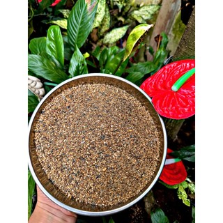 Cát Suối Biotope Tự Nhiên Tone Nâu Trầm (Hạt nhỡ) - Phù Hợp Chơi Biotope - Suối (1kg, 2kg, 5kg)