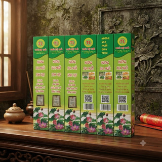 Hương Xua Muỗi Sinh Học Thúy Liễu – Sản phẩm OCOP 3 sao | An toàn – Hiệu quả – Thân thiện môi trường