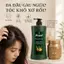 Bộ Sản Phẩm Hyamin Dầu Gội Thảo Dược 1400ML Sạch Gàu Và Kem Ủ Tóc Collagen Hyamin Mềm Mượt 1000ML