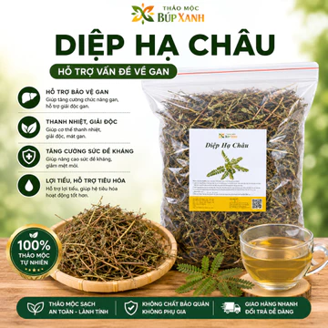 Diệp hạ châu, chó đẻ răng cưa khô 1kg sấy nguyên chất bảo vệ gan, hỗ trợ viêm gan Thảo Mộc Búp Xanh