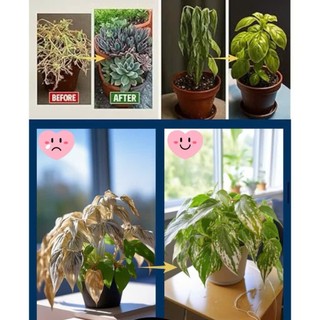 QUE DINH DƯỠNG CÂY TRỒNG TAN CHẬM STRONG GROW | COMBO 2 HỘP 36 QUE | CẮM LÀ DÙNG | NPK 15-15-15