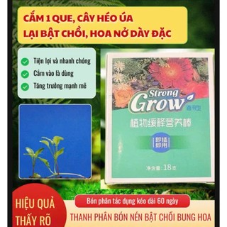 QUE DINH DƯỠNG CÂY TRỒNG TAN CHẬM STRONG GROW | COMBO 2 HỘP 36 QUE | CẮM LÀ DÙNG | NPK 15-15-15