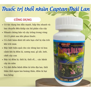 captan thái lan- trị thối nhũn cho lan và cây cảnh