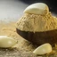 Bột tỏi nguyên chất 100g thơm, mịn, gia vị ướp thịt nướng, nấu ăn, tạo hương vị cho món ăn