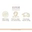 Combo 2 kem dưỡng cải thiện chảy sệ, ngăn ngừa lão hóa ELIXIR TOTAL V FIRMING CREAM SS 5G