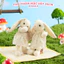 Gấu Bông Thỏ Thơm 35cm Thêu Tên Theo Yêu Cầu - Thú Nhồi Bông Mùi Thơm Dịu Nhẹ Quà Tặng Cao Cấp