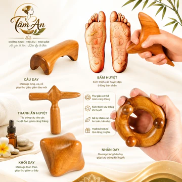 Dụng cụ bấm huyệt gỗ bách xanh Gói combo nhiều dụng cụ bấm huyệt gỗ