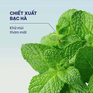 [ Tặng 150M BTT ] Dung dịch vệ sinh phụ nữ DrSusoft– Nha đam dưỡng ẩm, sạch thoáng tự nhiên, cân bằng độ Ph– 130ml