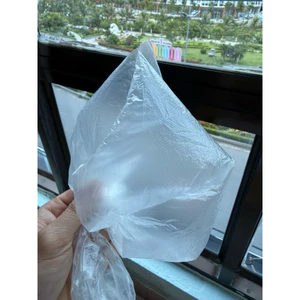 Không Khí Ở Đảo Cát Bà