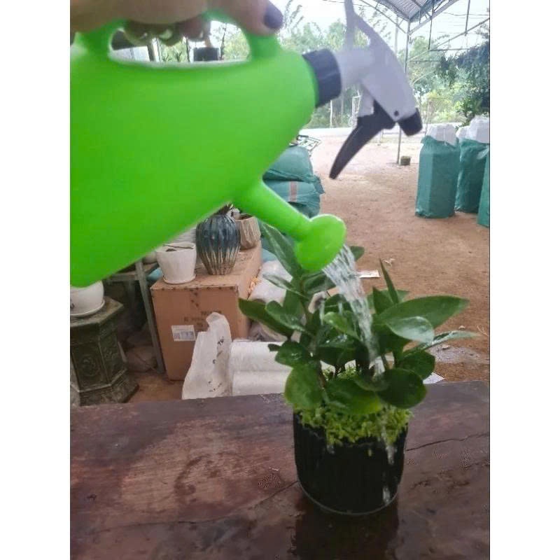 Bình xịt 1,5 Lít kết hợp Ô doa tưới cây tiện dụng, tưới cây và hoa chăm sóc vườn , chất liệu nhựa cao cấp