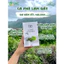 Cà Phê Nấm Men Giảm Cân Cấp Tốc NA COFFE Cà Phê Làm Gầy Kháng Mỡ Hộp 12 Gói