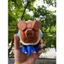 Mô Hình Rùa Nước In 3D PLA Cao Cấp - Trang Trí Bàn Làm Việc, Quà Tặng Sưu Tầm Độc Đáo