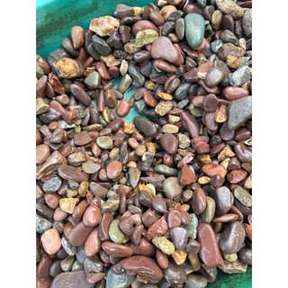 . Sạn Suối sạch Trải Nền, Trang Trí Hồ Cá, Bể Thuỷ Sinh, Setup Layout Biotope thuysinhnau SPK07 .