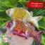Lồng Đèn Trung Thu Mini Giấy Kiếng 10-15cm (Giao Màu Ngẫu Nhiên - Chưa Gồm LED)