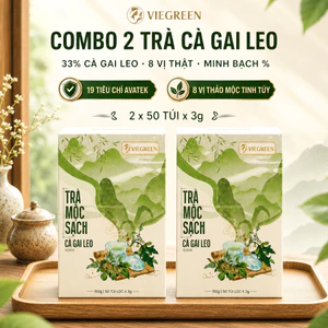 Combo 2 Hộp Trà Túi Lọc Cà Gai Leo VIEGREEN Mộc Sạch 33% 50 Túi x 3g, Không Đường, GMP HACCP