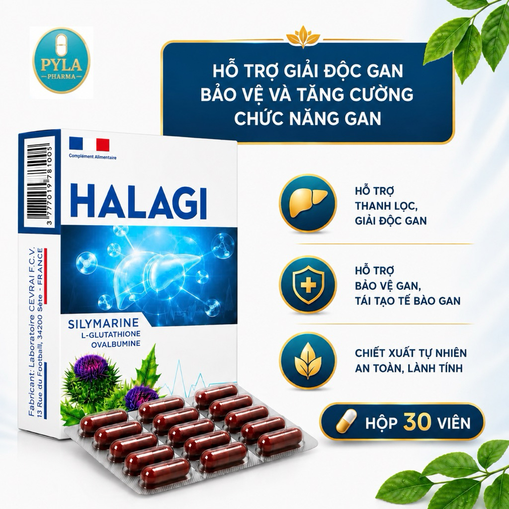 HALAGI Silymarine Bổ Gan Giải Độc Gan Hỗ Trợ Giảm Men Gan Bảo Vệ Chức Năng Gan Hộp 30 Viên