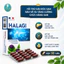 Combo Halagi + Oyster Xmen 2 Hộp Nhập Khẩu Pháp | Hỗ Trợ Giải Độc Gan, Tăng Cường Sinh Lý Nam