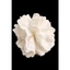 Cột Tóc Ren 13cm Scrunchie Nữ Co Giãn Nhẹ Nhàng Phong Cách Hàn Quốc