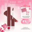 Son kem siêu lì, cho đôi môi mịn mượt Hàn Quốc Romand Blur Fudge Tint 5g