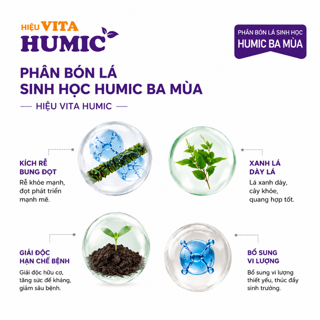 Phân bón rễ VITA HUMIC chuyên Cà Phê Hồ Tiêu - Bung đọt vọt cành, phục hồi rễ chống chịu hạn mặn (1kg)