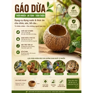 Gáo dừa nhỏ đựng thức ăn, nước cho chim cảnh, bồ câu, két vẹt...thân thiện với môi trường, bên bỉ, không chất độc hại