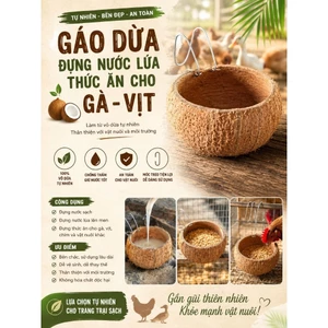 Gáo dừa dùng đựng thức ăn và nước cho gà, vịt bền,thân thiện, dễ vệ sinh, không chất độc hại