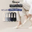 Combo tất lười nam basic GOMTAT, vớ tàng hình chống tuột gót mang mùa hè - UYE-7010