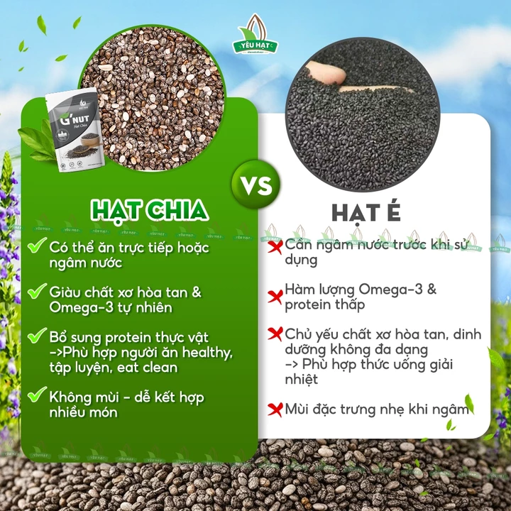 Hạt Chia Hữu Cơ Giảm Cân - Chia Đen Organic Chính Hãng 100% Giàu Omega 3 Detox Yêu Hạt – 3