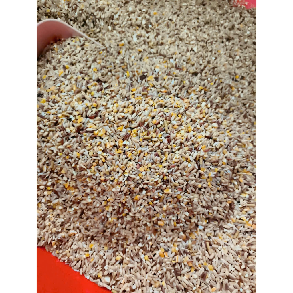5kg Ngũ cốc xịn xò ( Giá tốt )  cho gà đá, chiến kê, bồ câu, chim, vịt -  nhiều hạt giàu protein, vitamin, khoáng chất