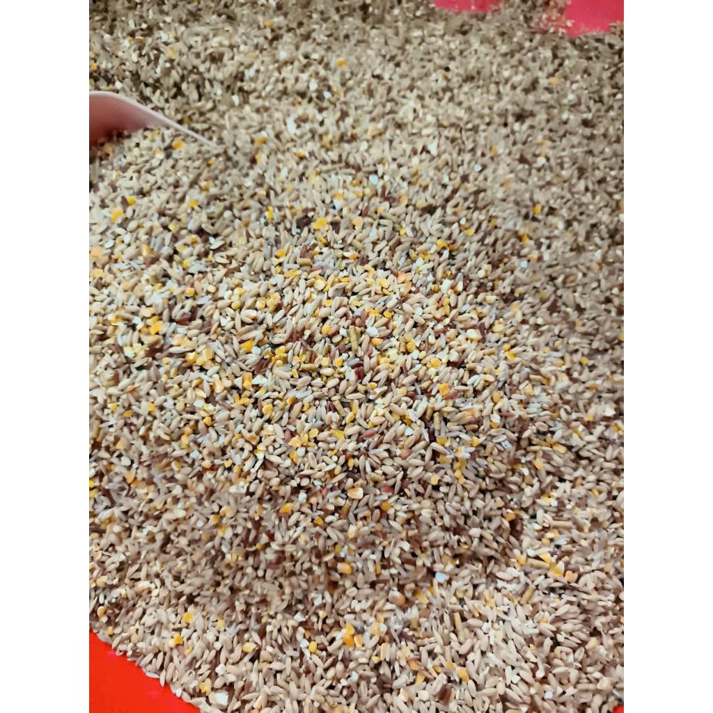 5kg Ngũ cốc xịn xò ( Giá tốt )  cho gà đá, chiến kê, bồ câu, chim, vịt -  nhiều hạt giàu protein, vitamin, khoáng chất