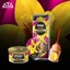 Combo Hương Bubble Gum Areon Gel + Areon Fresco – Thơm Xe Ngọt Nhẹ, Dễ Chịu, Khử Mùi Hiệu Quả