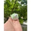 Móc Khóa Cá Nóc Cử Động Mắt Cute In 3D PLA, Mô Hình Mini Đeo Balo Túi Xách, Quà Tặng Dễ Thương Handmade