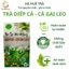 Trà Diếp Cá - Cà Gai Leo túi lọc hộp 40 gói, mát gan, thanh nhiệt, trà thảo mộc