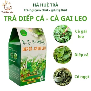 Trà Diếp Cá - Cà Gai Leo túi lọc hộp 40 gói, mát gan, thanh nhiệt, trà thảo mộc