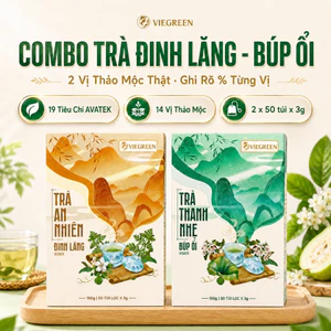 Combo 2 Trà Túi Lọc Đinh Lăng + Búp Ổi VIEGREEN 50x3g + 50x3g, GMP HACCP