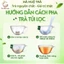 Trà Kim Tiền Thảo - Râu Mèo hộp 40 túi lọc, tốt cho thận, lợi tiểu, thanh nhiệt