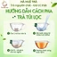 Trà (Mua 2 + tặng 1) Cây rau Mương - Nghệ Vàng hộp 40 túi lọc, tốt cho Dạ Dày, Trào Ngược