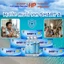 Nước Súc Miệng - Nước Muối ion SMART A 500 ml - Hiệu quả - Tiết kiệm - Phù hợp mọi lứa tuổi