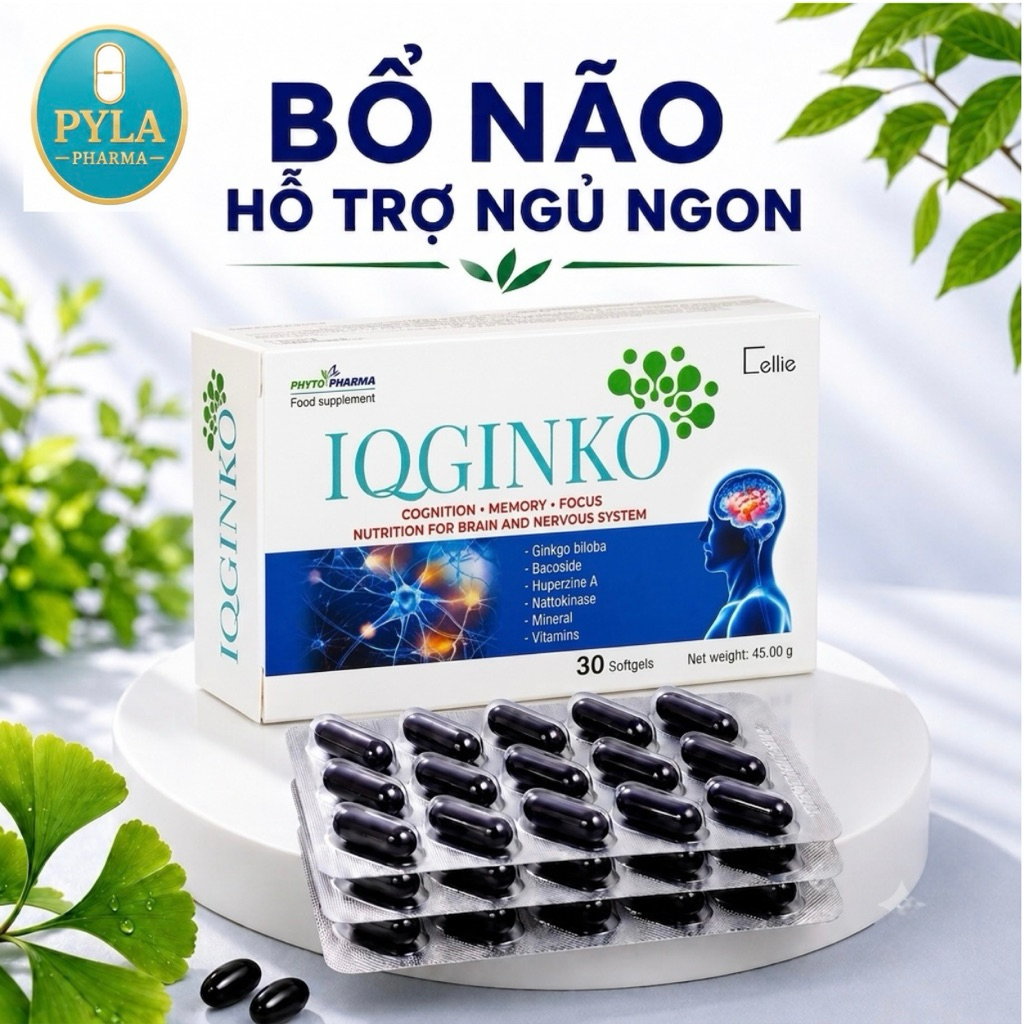 IQGINKO Nhập Khẩu Pháp - Viên Uống Bổ Não Hỗ Trợ Tăng Cường Trí Nhớ, Tuần Hoàn Não, Giảm Hay Quên - 30 Viên