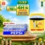 Thùng Nước Ngọt Giải Khát Có Gaz Pepsi Lon Xanh (320ml/lon hoặc 350ml/lon)