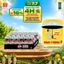 Thùng 24 Lon Nước Uống Có Gaz Pepsi Không Calo, Không Đường (320ml/lon)