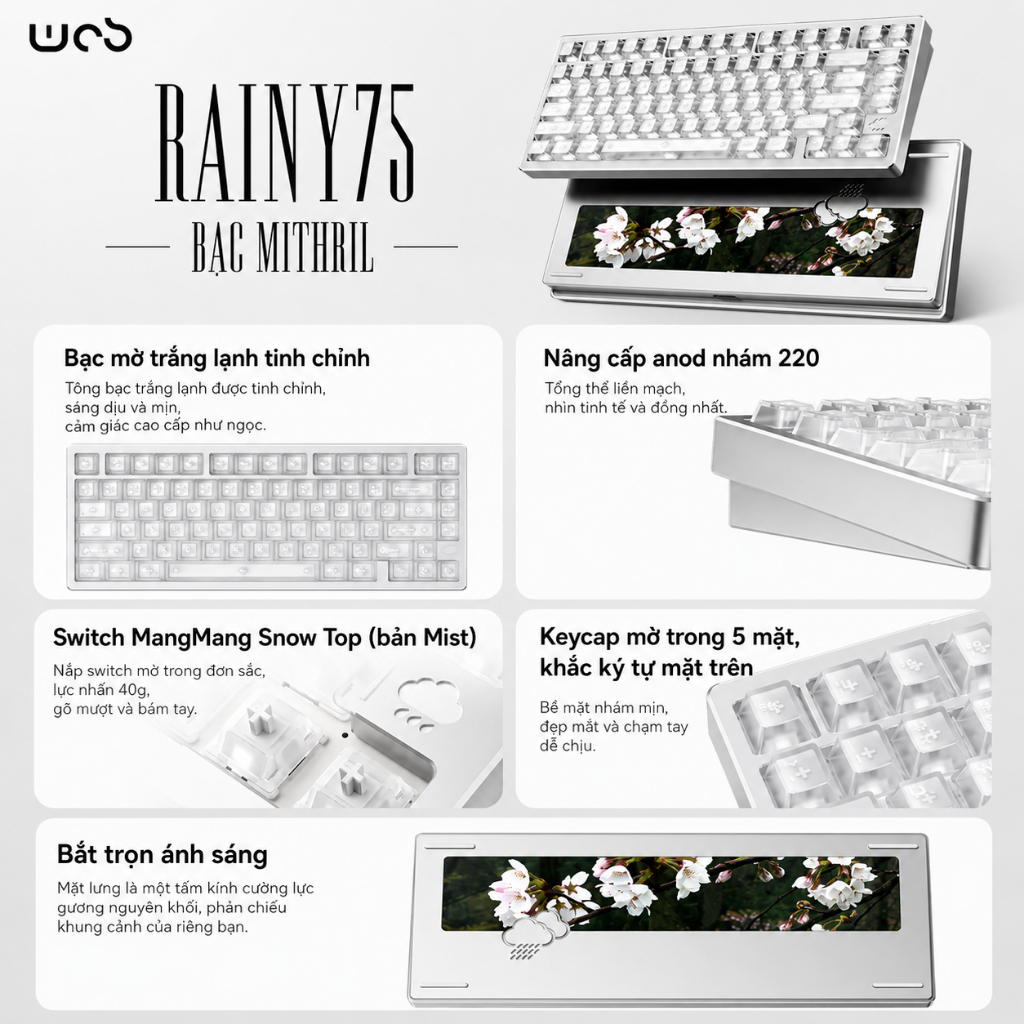 RAINY75 Limited – Bàn phím cơ nhôm CNC | 3 Chế Độ Kết Nối | RGB |  | Gasket | Bảo Hành 12 tháng | BigBuy360 - bigbuy360.vn
