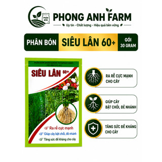 Phân bón Siêu lân 60+  Ra rễ cực mạnh, bật chồi, đẻ nhánh, tăng sức đề kháng (gói 30g)