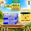 Combo 2 Thùng 24 Lon Pepsi (320ml/lon hoặc 350ml/lon)