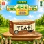 Thùng 24 Chai Trà Ô long Tea+ Không Đường (450ml/chai)