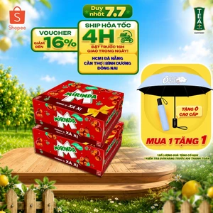 Combo 2 Thùng 24 Lon Mirinda Xá Xị (320ml/lon)