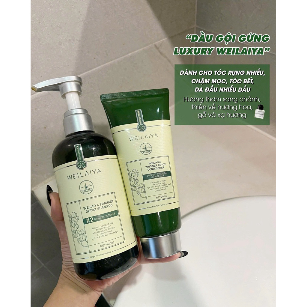 Bộ Dầu Gội Xả Gừng Weilaiya X2 Ginger Essence 420ml+200ml Tặng Sữa Tắm Elvawell 250ml-Hương Nước Hoa